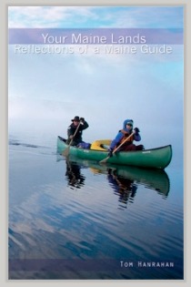 Screen Shot 2017-06-18 at 11.57.24 AM